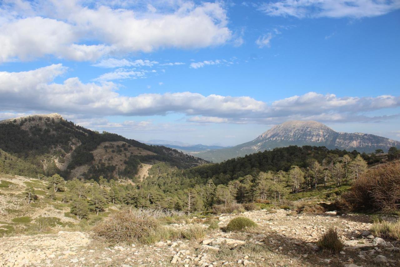 La Noguera Casa Rural Huéscar Kültér fotó