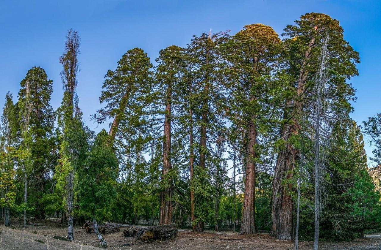 La Noguera Casa Rural Huéscar Kültér fotó